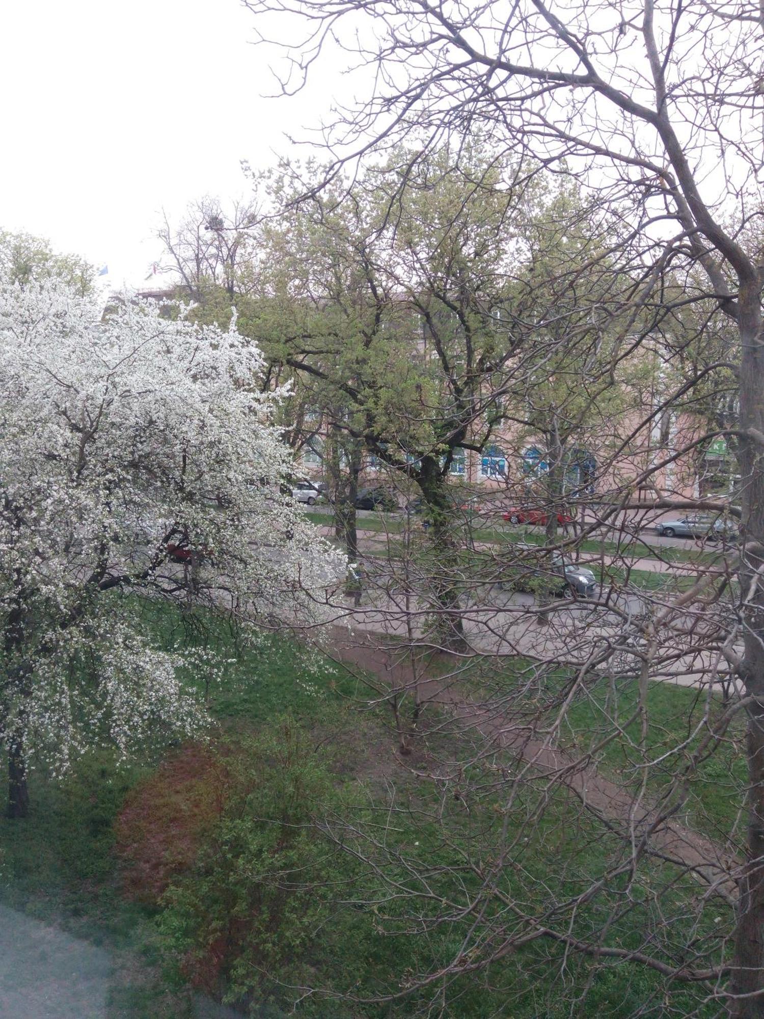 Квартира Студія В Центрі Міста Філармонія Khmelʼnytsʼkyy Zewnętrze zdjęcie